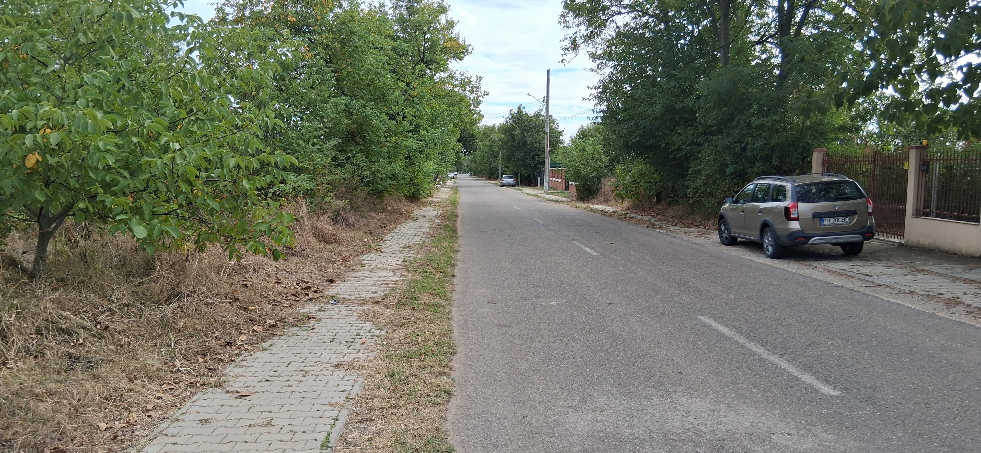 Teren intravilan 836 mp , deschidere 24 ml , ideal pentru construirea unei locuinte permanente sau casa de vacanta , zona linistita  - 2