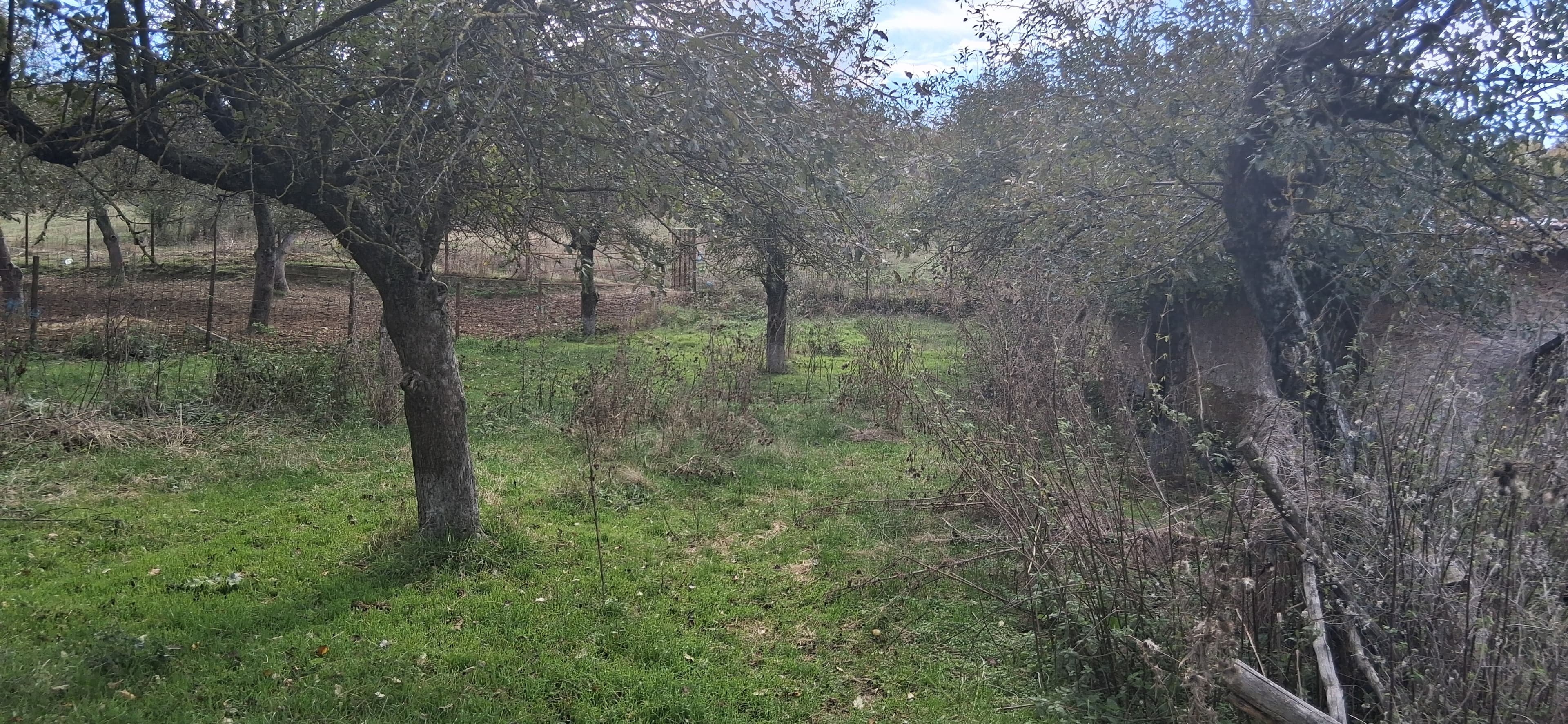 Ferma de vanzare , Orasul Baicoi , Judetul Prahova , zona Dambu - 2