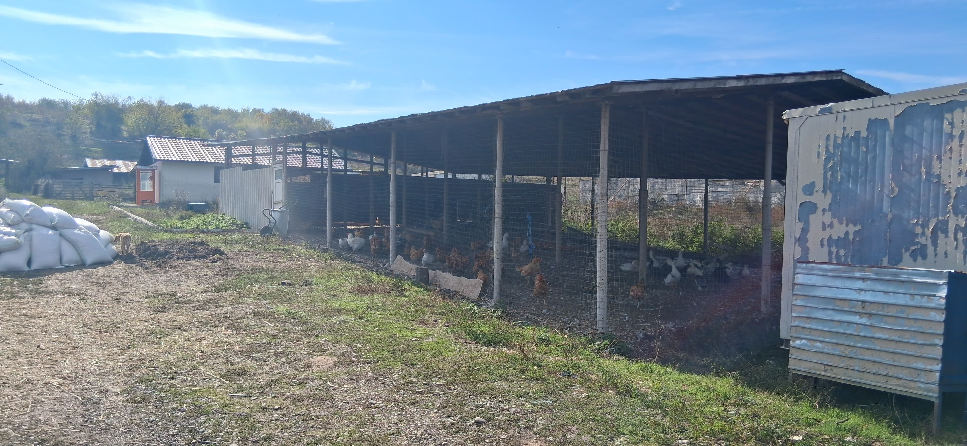 Ferma de vanzare , Orasul Baicoi , Judetul Prahova , zona Dambu - 6