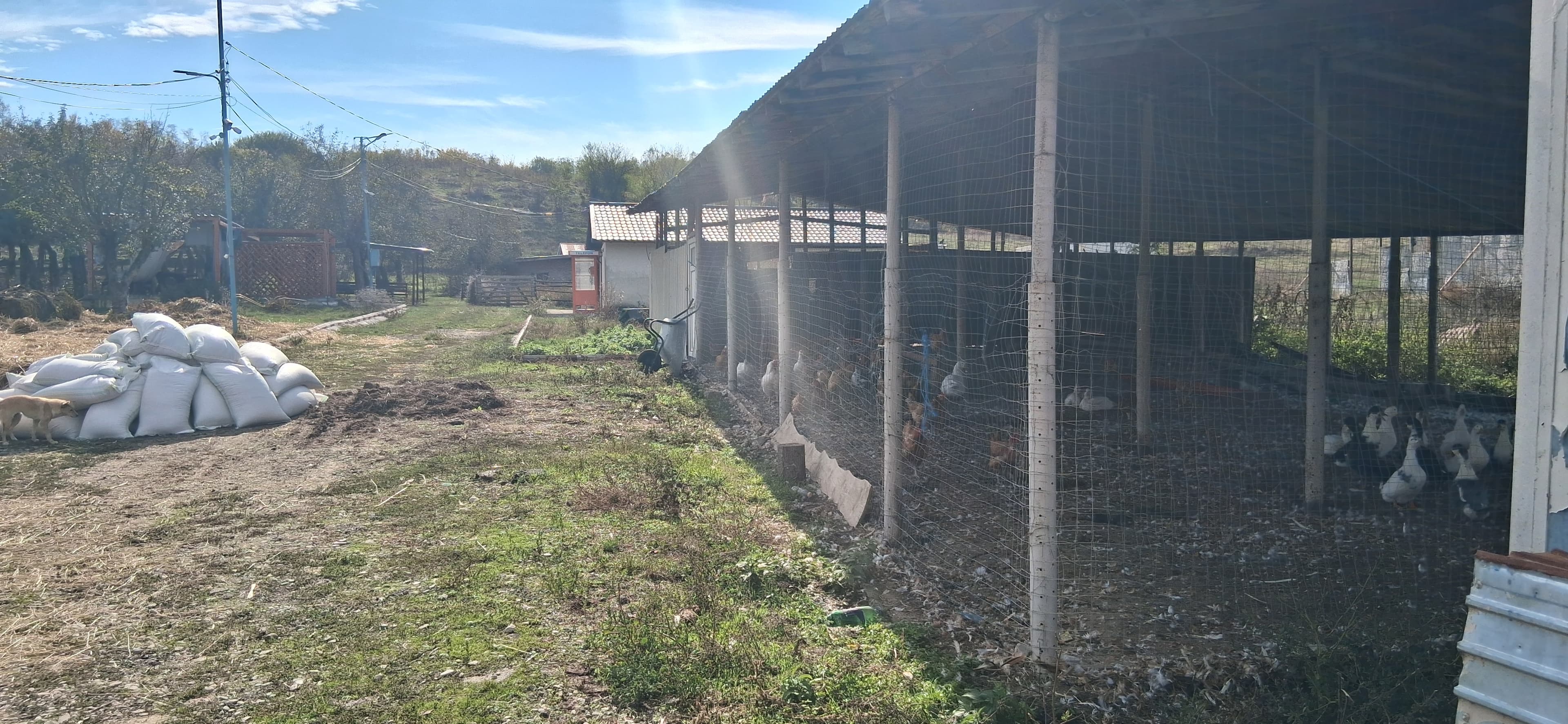 Ferma de vanzare , Orasul Baicoi , Judetul Prahova , zona Dambu - 7