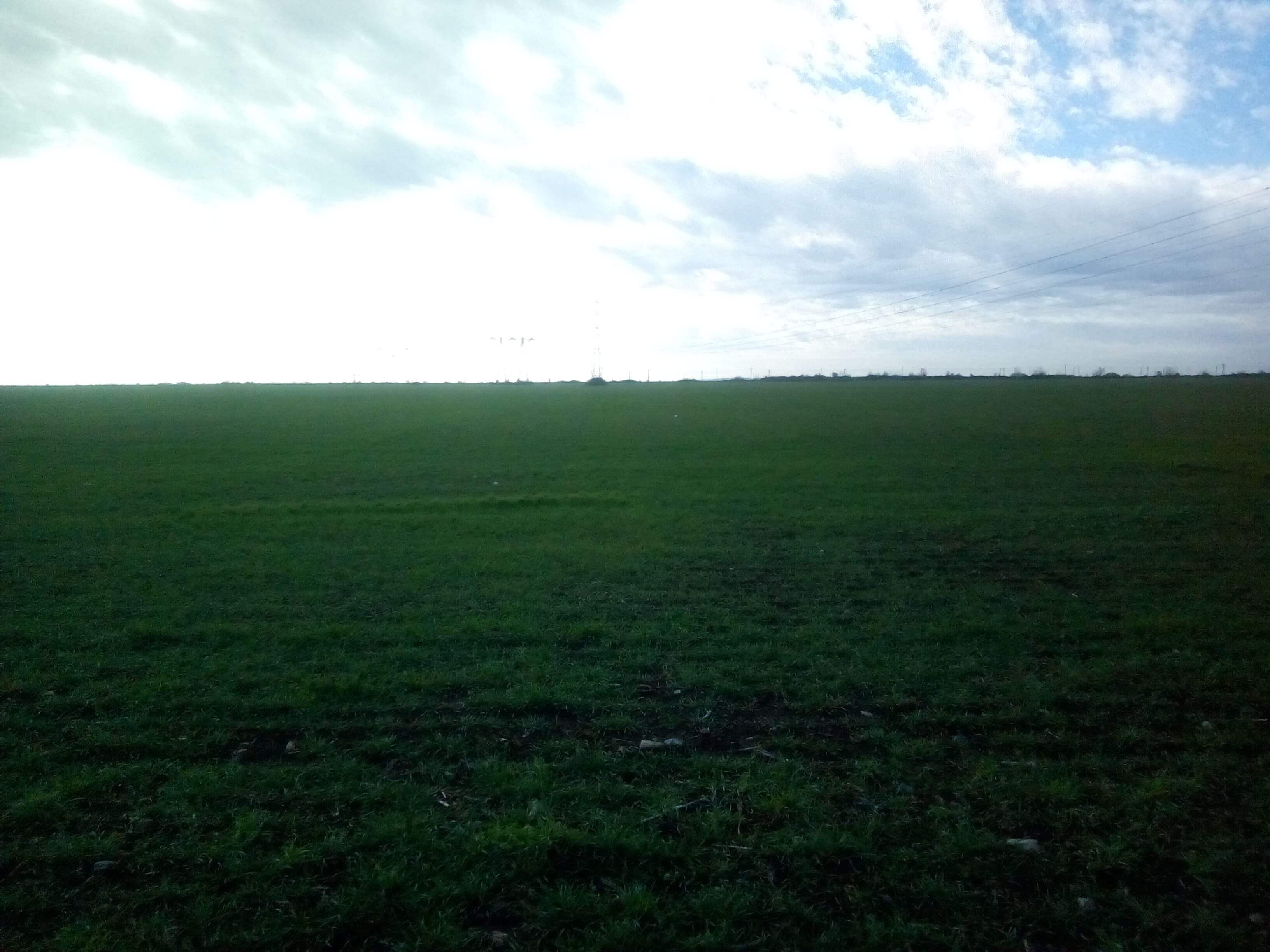 Teren extravilan 10.000 mp , deschidere 29 m la DN1 - 5